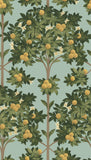 117/1002 - Orange Blossom