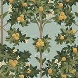 117/1002 - Orange Blossom