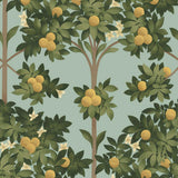 117/1002 - Orange Blossom