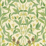 117/10031 - Jasmine & Serin Symphony