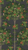 117/1003 - Orange Blossom