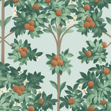 117/1004 - Orange Blossom