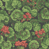 117/11033 - Geranium