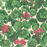 117/11034 - Geranium
