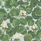 117/11035 - Geranium