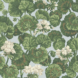 117/11035 - Geranium