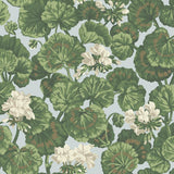117/11035 - Geranium