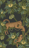 119/3016 - Satara