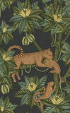 119/3016 - Satara