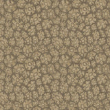 119/4020 - Savanna Shell