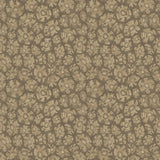 119/4020 - Savanna Shell