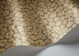 119/4020 - Savanna Shell