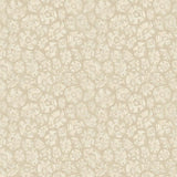 119/4021 - Savanna Shell