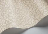 119/4021 - Savanna Shell