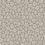 119/4022 - Savanna Shell