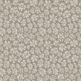 119/4022 - Savanna Shell