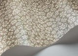 119/4022 - Savanna Shell