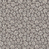 119/4023 - Savanna Shell