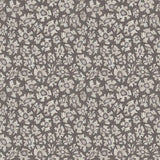 119/4023 - Savanna Shell