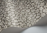 119/4023 - Savanna Shell