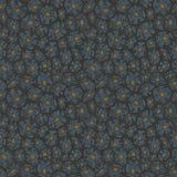 119/4024 - Savanna Shell