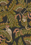 119/7031 - Bush Baby