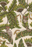 119/7032 - Bush Baby