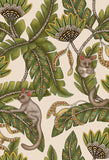 119/7032 - Bush Baby