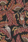 119/7033 - Bush Baby
