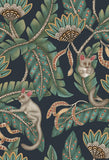 119/7034 - Bush Baby
