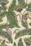 119/7035 - Bush Baby