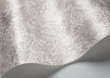 120/2006 - Petite Fleur