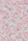 120/2007 - Petite Fleur