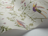 100/14070 - Hummingbirds Archive Anthology