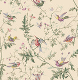100/14071 - Hummingbirds Archive Anthology