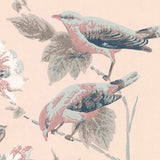 Rosemore Pink Luxury Bird Wallpaper