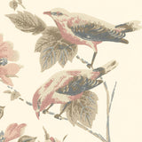 Rosemore Natural Luxury Bird Wallpaper
