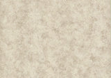 Fenton Taupe Neutral Luxury Plain Wallpaper - 1602-107-04