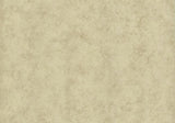 Fenton Soft Gold Luxury Plain Wallpaper - 1602-107-06