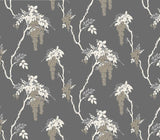 Leonora Grey Luxury Floral Wallpaper