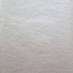 Carla Ivory Cream Luxury Plain Wallpaper
