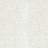 Carla Ivory Cream Luxury Plain Wallpaper