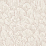 Tranquil Pearl Cream Luxury Feather Wallpaper