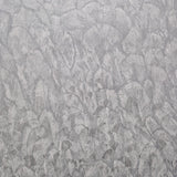 Tranquil Mist Grey Luxury Feather Wallpaper