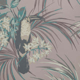 Le Toucan Rose Pink Luxury Bird Wallpaper