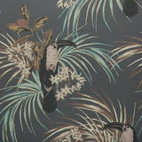 Le Toucan Charcoal Black Luxury Bird Wallpaper