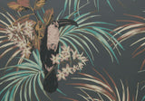 Le Toucan Charcoal Black Luxury Bird Wallpaper