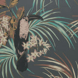 Le Toucan Charcoal Black Luxury Bird Wallpaper