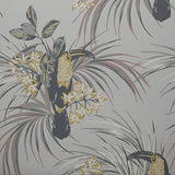 Le Toucan Soft Grey Luxury Bird Wallpaper