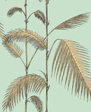 112/2006 - Palm Leaves 1